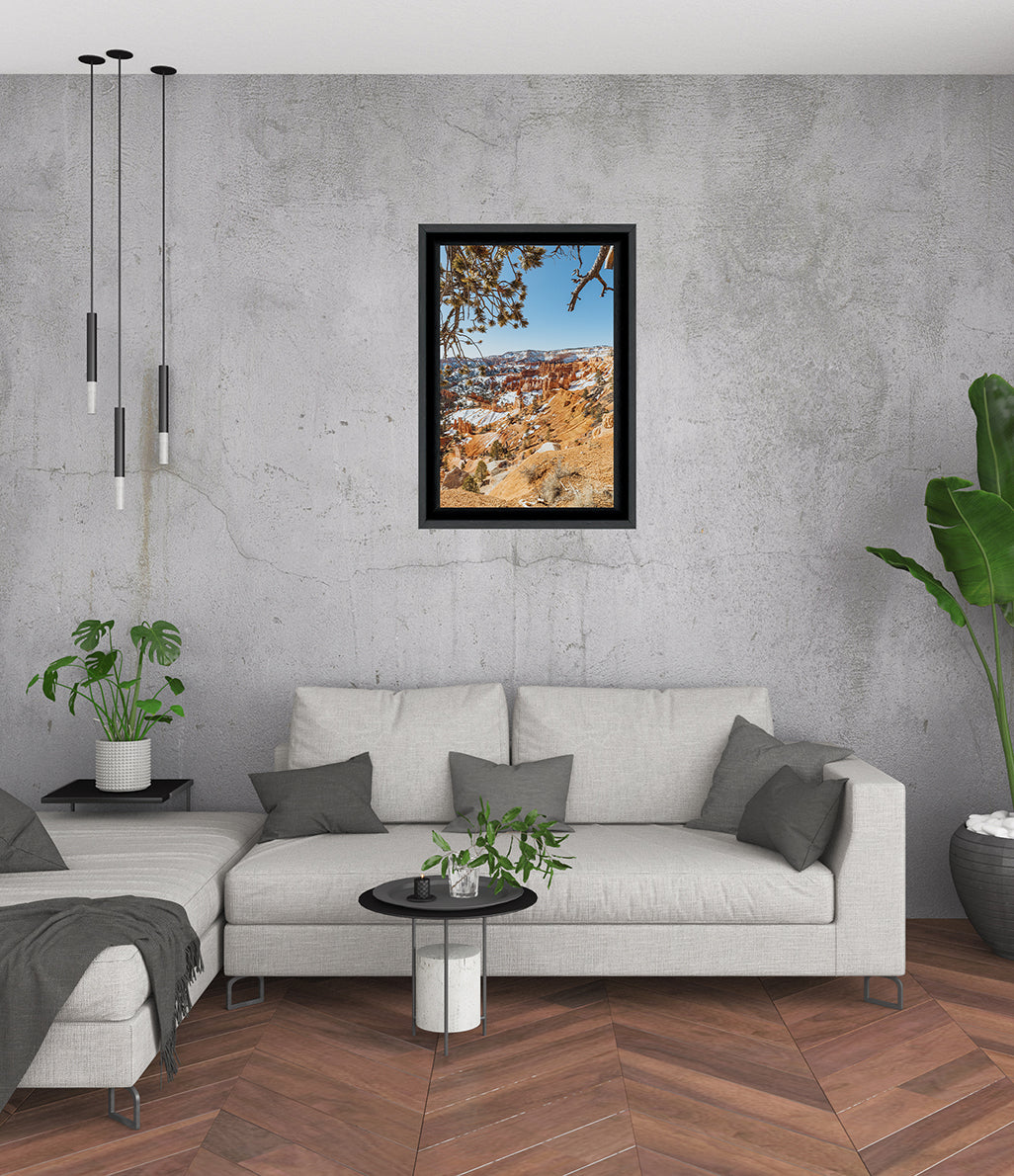 Bryce Pines Frame