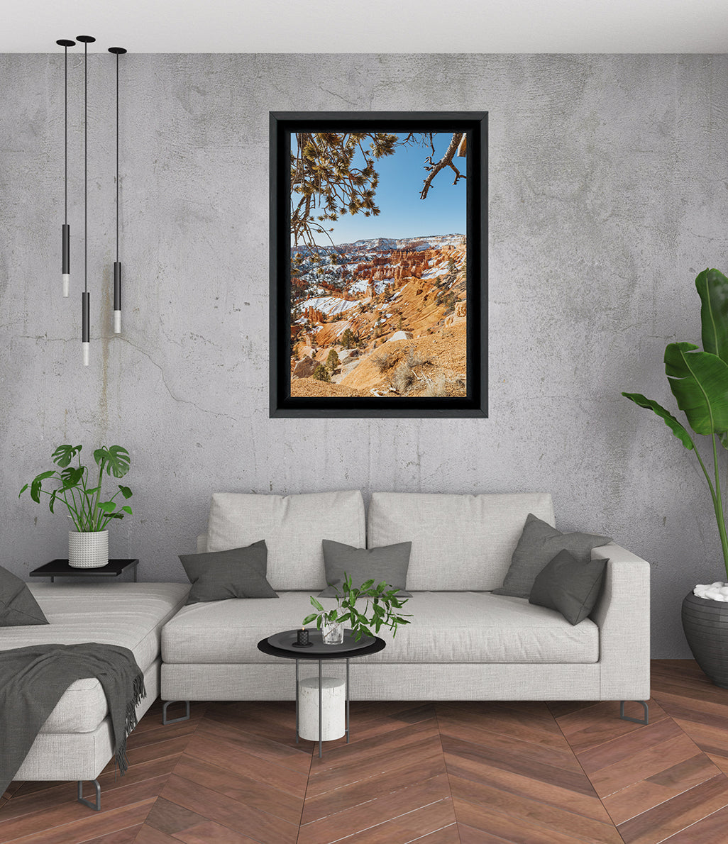 Bryce Pines Frame